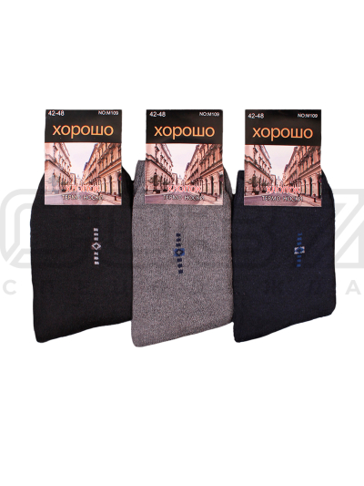 Термо-носки мужские Хорошо №11 9 478-M109 (с махрой)