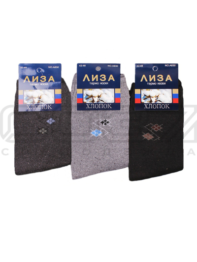 Термо-носки мужские Лиза №476-A830